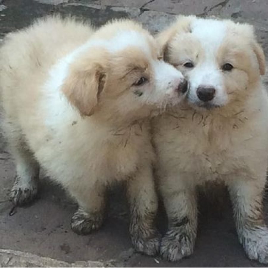 186291815_2532886303686294_4009578132388777277_n