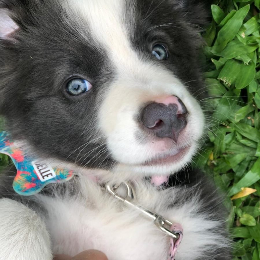 3166550f-b548-4cb5-bd66-e180509cd3de