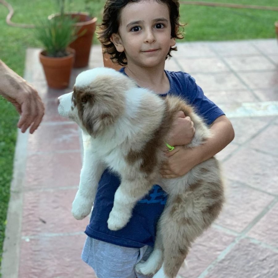 d2b98bbd-d252-4e41-88cc-bfe3d65b4725